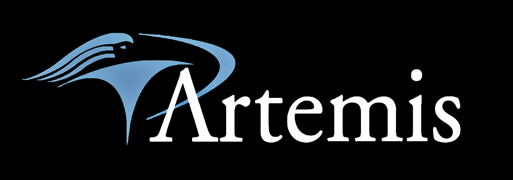 Artemis Property Services
